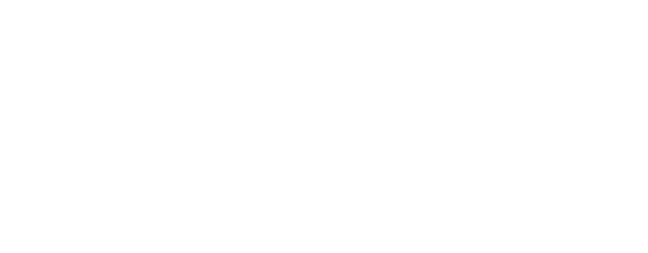 SMSParking logo white